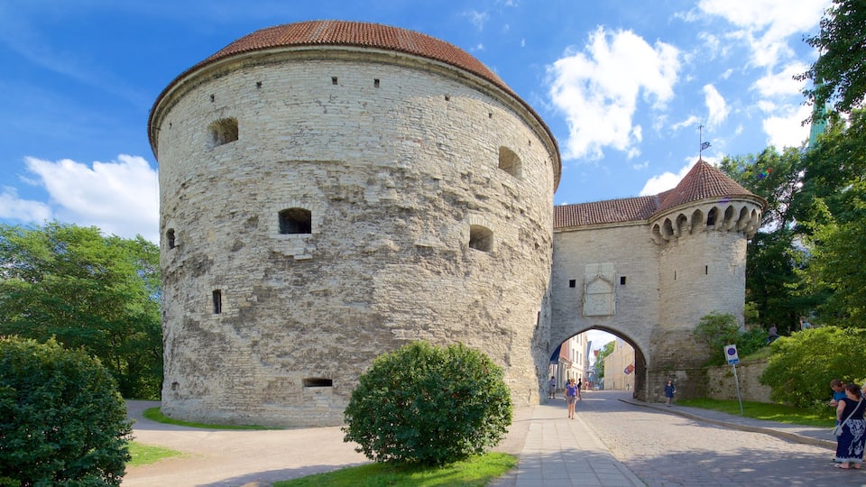 Tallinn featuring heritage elements
