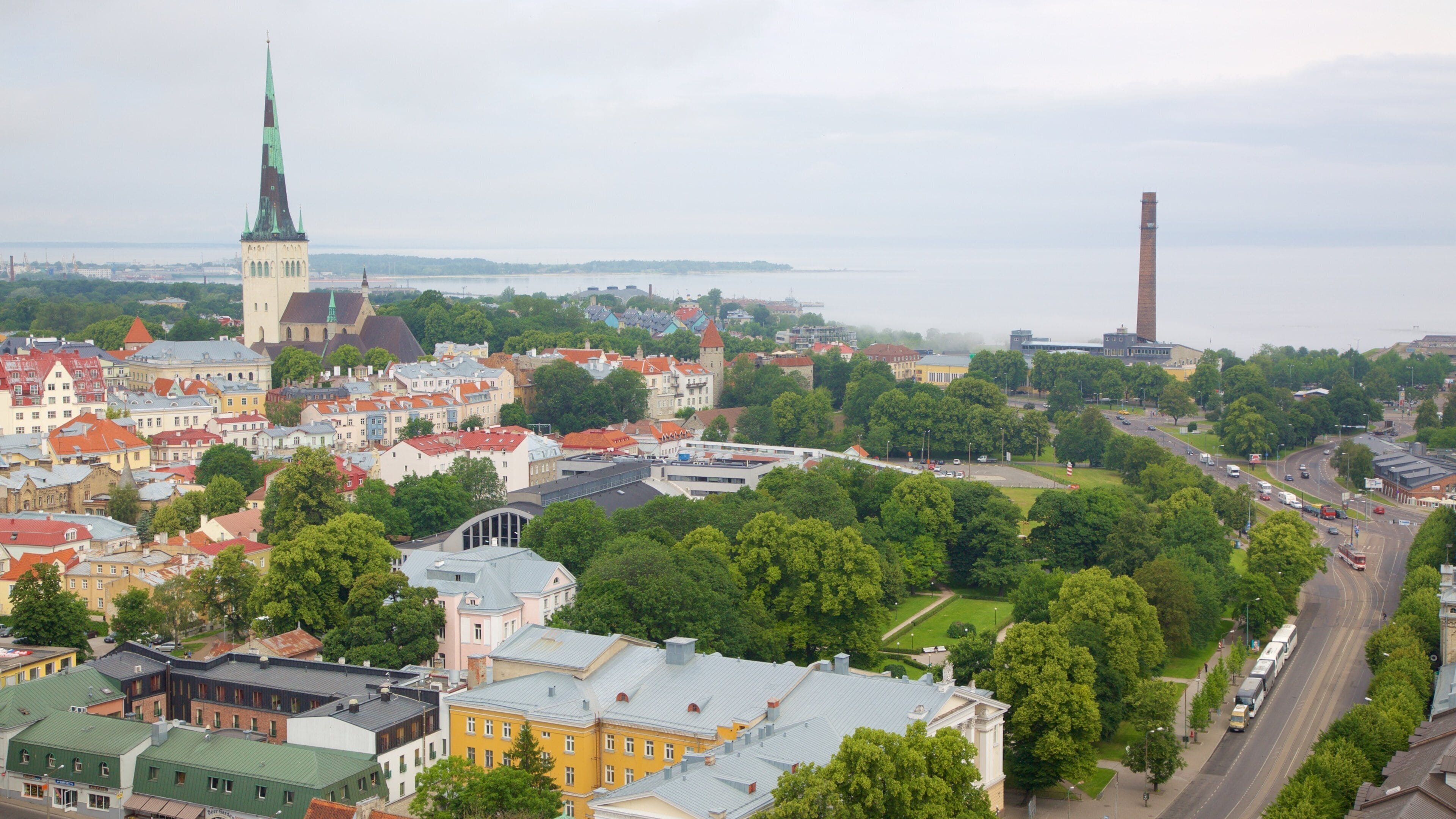 Tallinn featuring a city