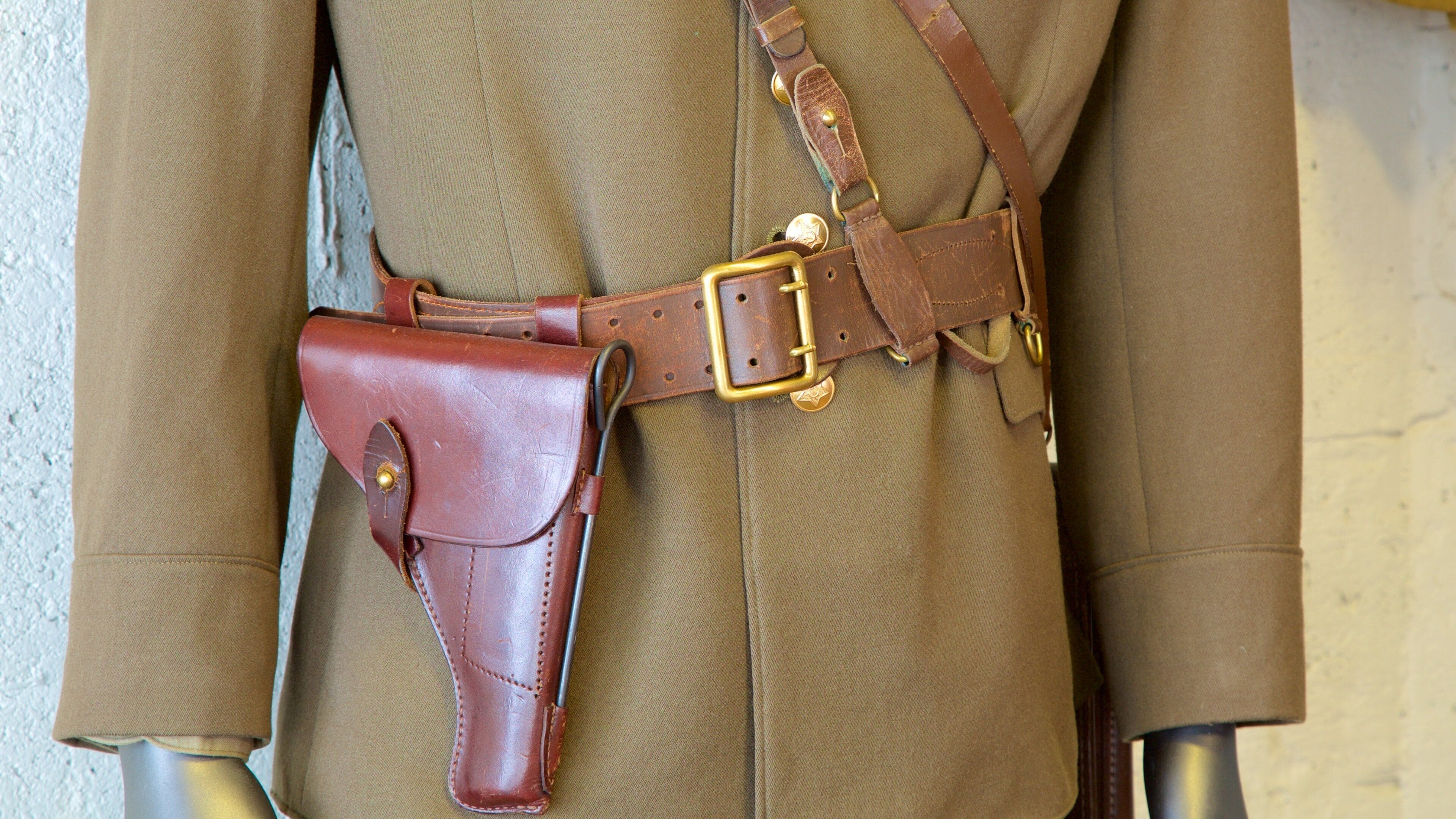 Tallinn showing interior views