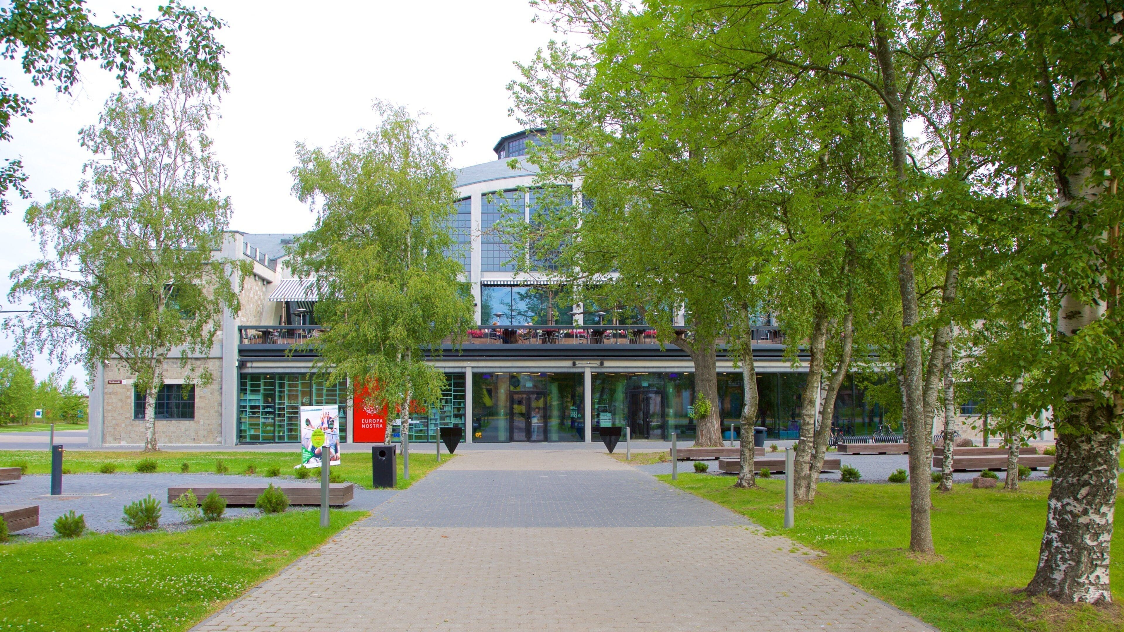 塔林 呈现出 海灣或海港