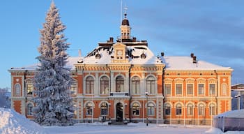 Kuopio City Hall on the Market Square in winter, Finland