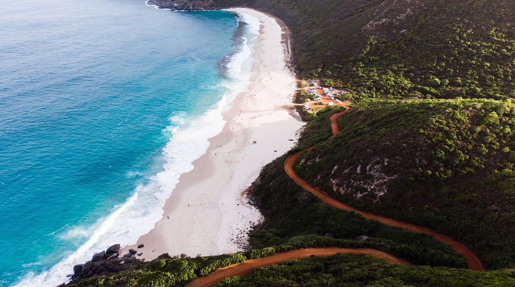 Incredible coastal road leading down to Shelly Beach, Albany, Western Australia. Perfect paradise waters in the remote Western Australian landscape.