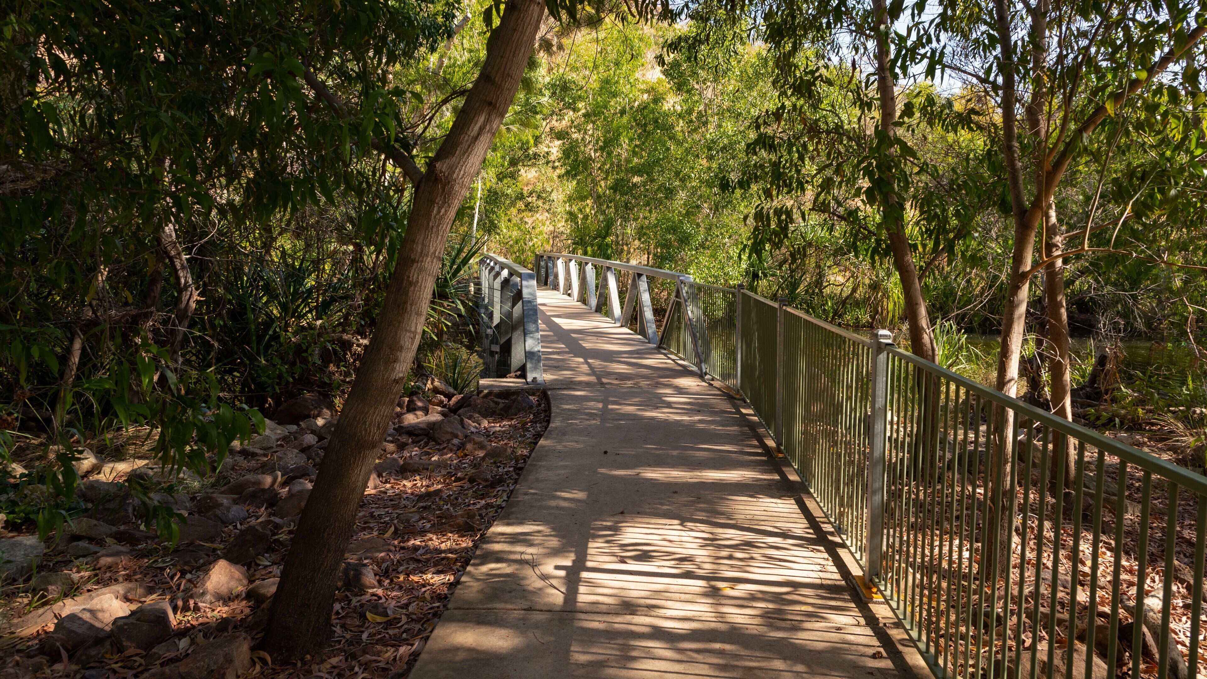Edith Falls showing a bridge and forest scenes