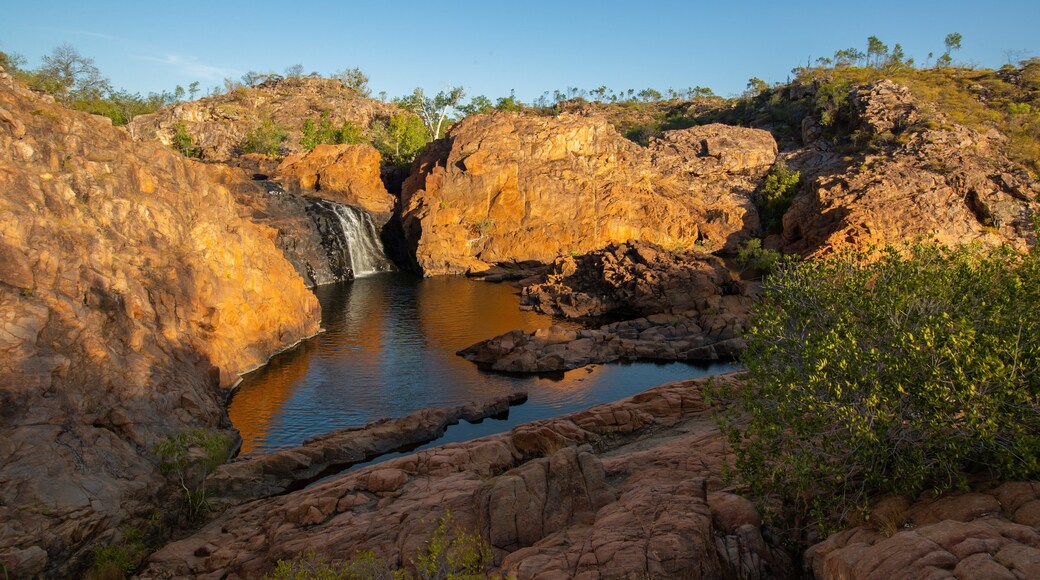 Edith Falls which includes a lake or waterhole, a waterfall and a gorge or canyon