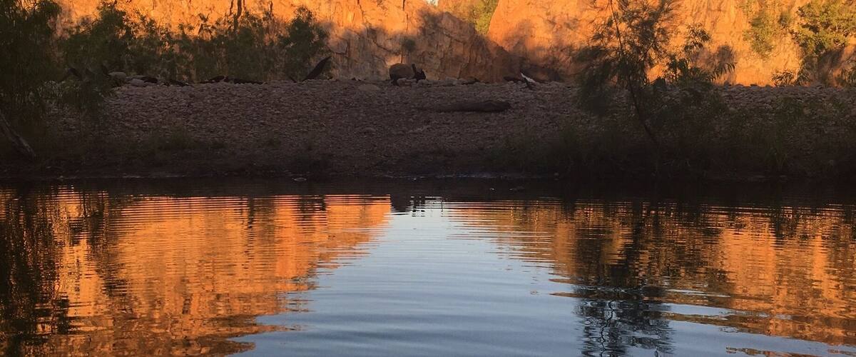 Litchfield National Park is within easy driving distance of Darwin (1.5 hours) & has many beautiful waterfalls, natural springs, billabongs & rivers to cool off in during the typically tropical weather.