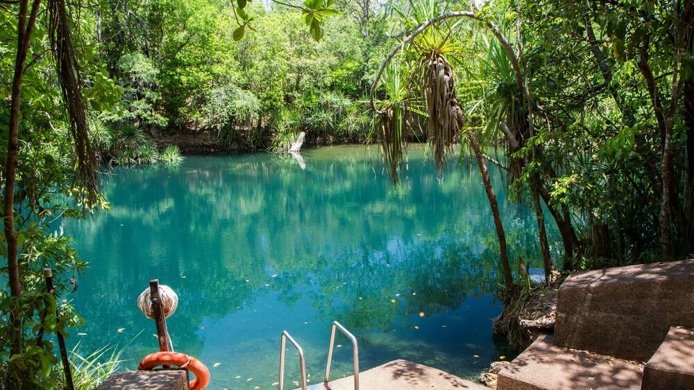 The entrance to the swimming hole at Berry Springs, a fresh water spring in the Northern Territory.