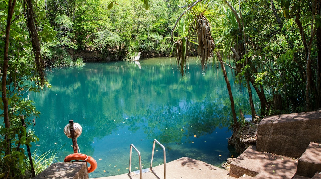 Berry Springs Nature Park