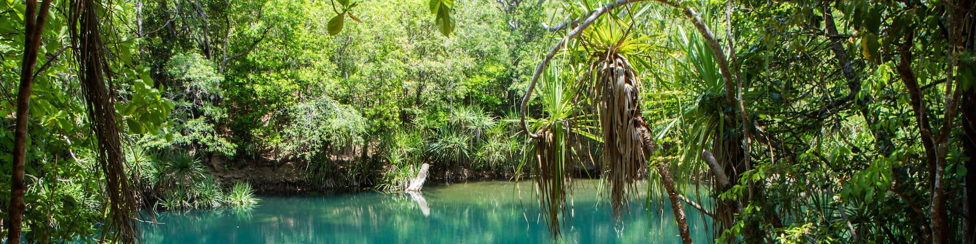 The entrance to the swimming hole at Berry Springs, a fresh water spring in the Northern Territory.