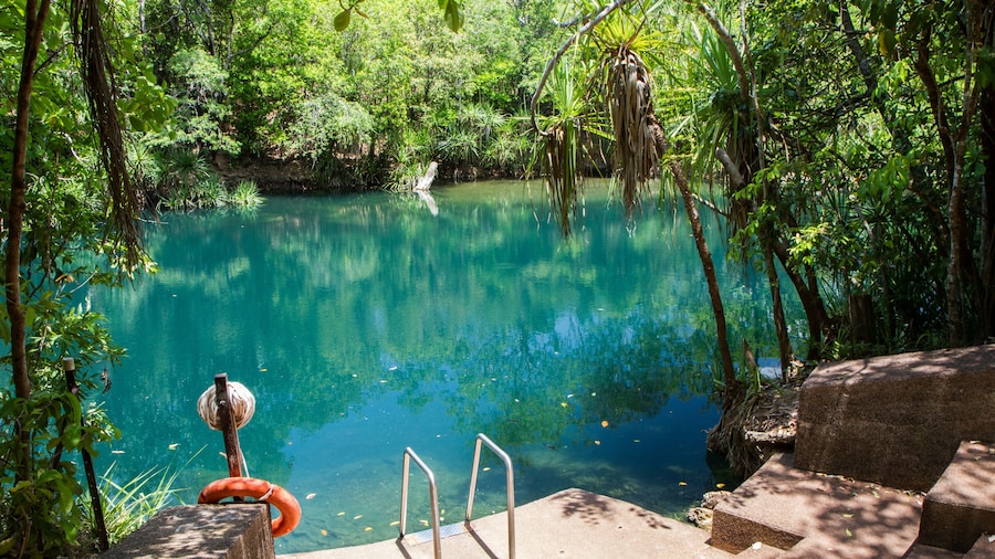 The entrance to the swimming hole at Berry Springs, a fresh water spring in the Northern Territory.