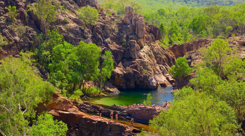 Kakadu National Park showing tranquil scenes