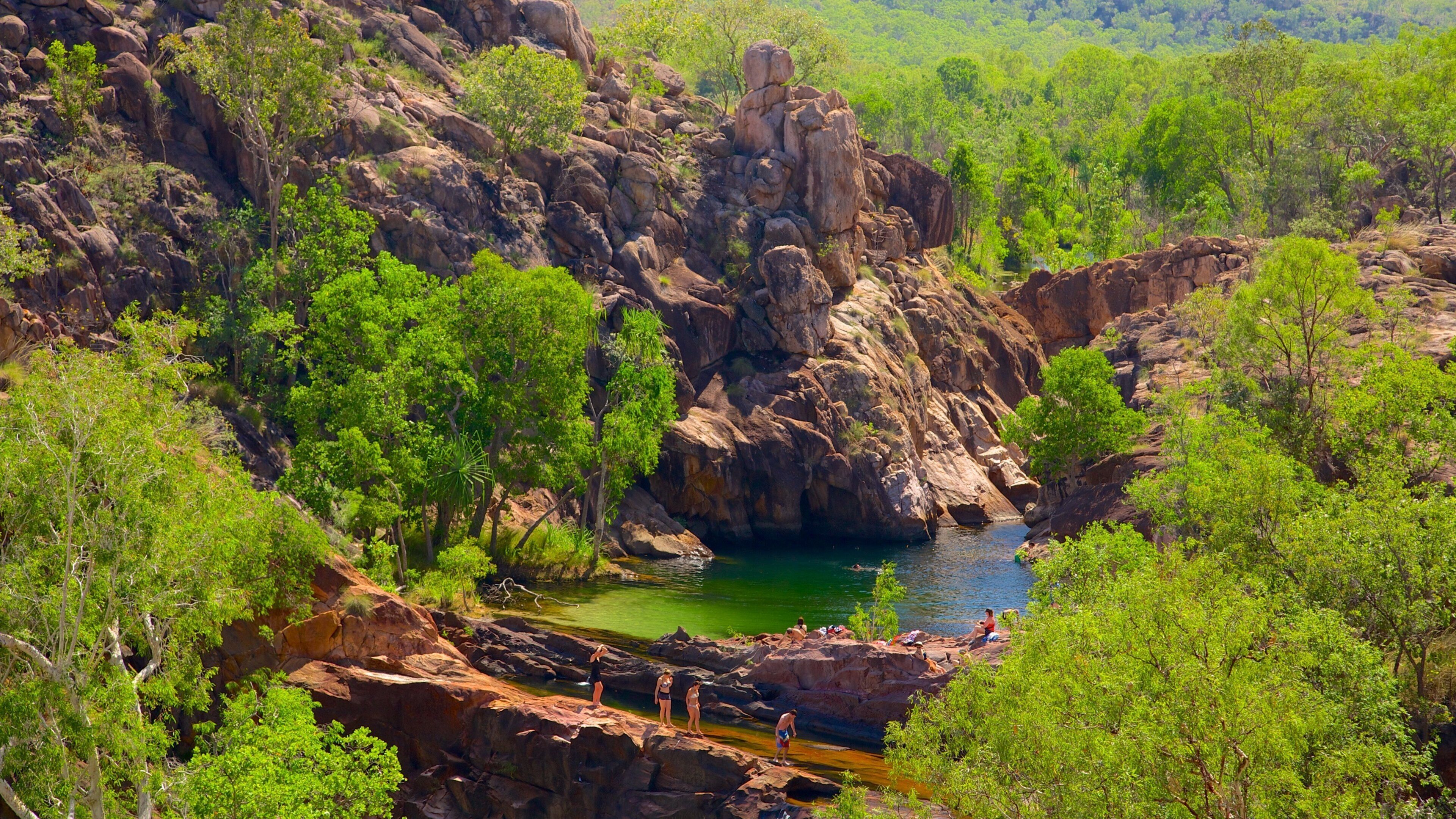 A rocky canyon with a clear blue pool surrounded by lush greenery.
