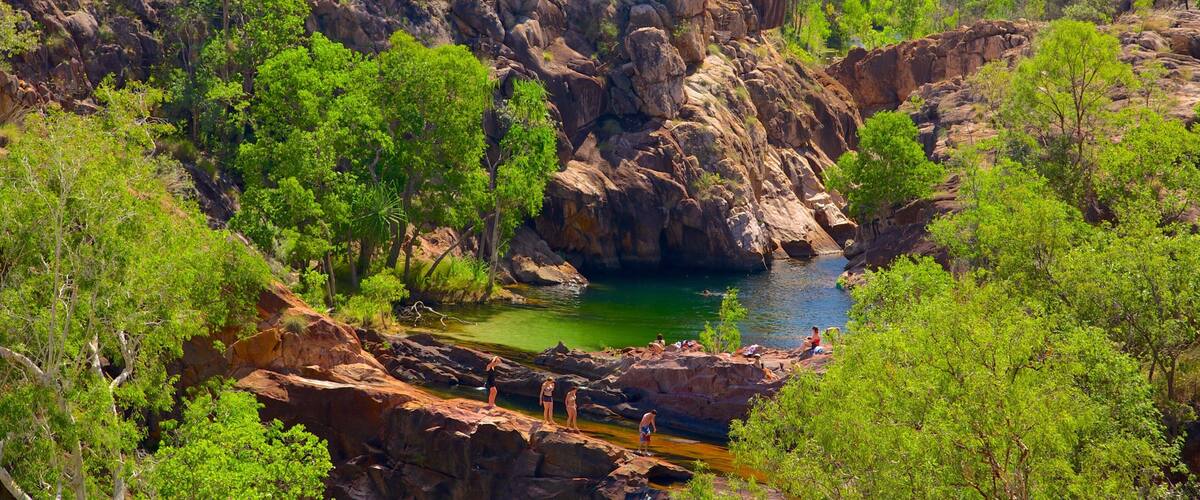 A rocky canyon with a clear blue pool surrounded by lush greenery.