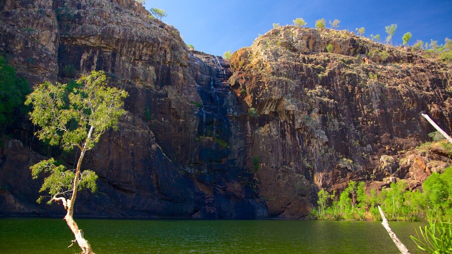 Kakadu National Park which includes a waterfall and a lake or waterhole