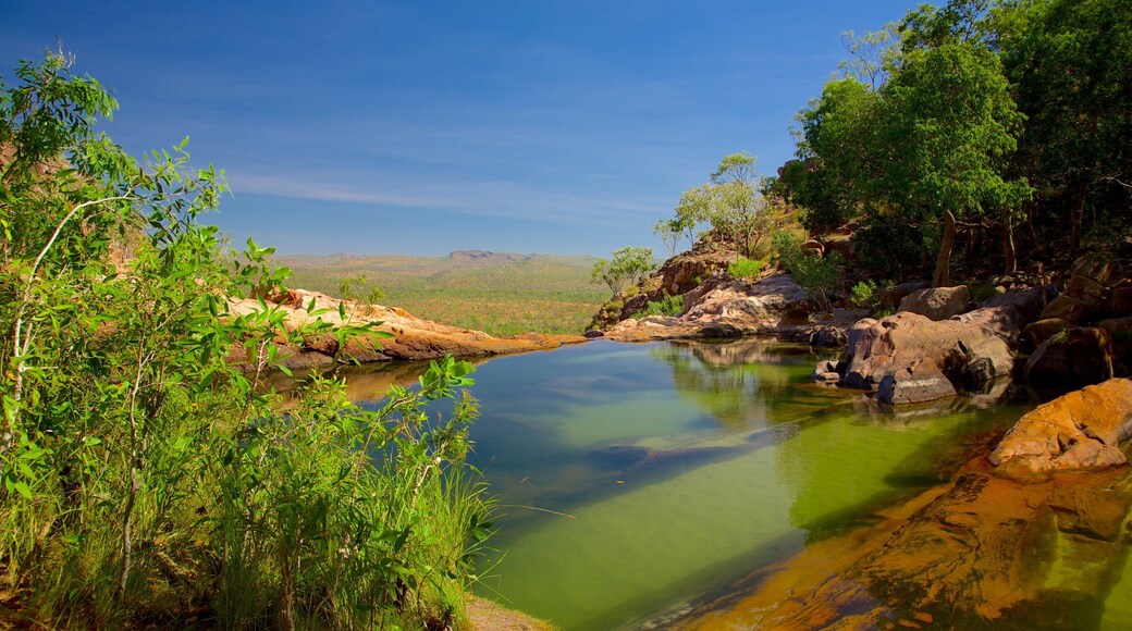 Kakadu National Park showing a lake or waterhole
