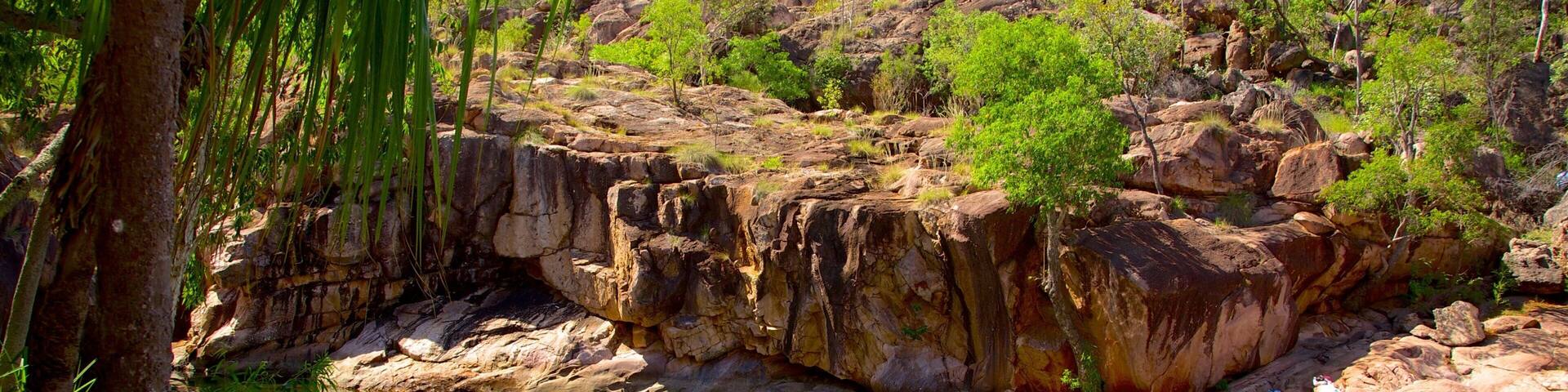 A rocky landscape with a clear green pond surrounded by trees and vegetation.