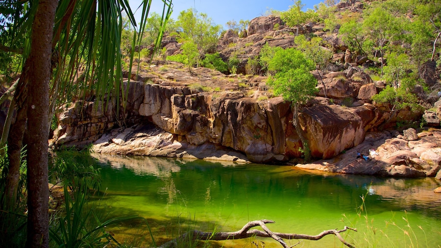 A rocky landscape with a clear green pond surrounded by trees and vegetation.