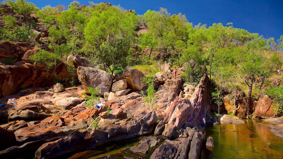 Kakadu National Park inclusief een meer of poel