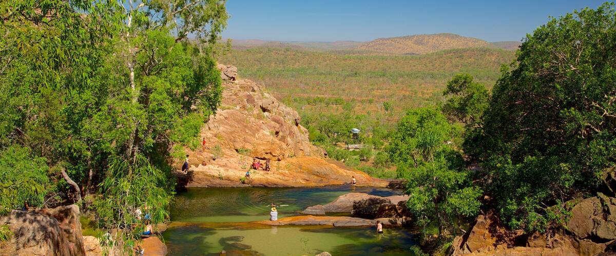 ์นด์นด๋ ๊ตญ๋ฆฝ๊ณต์ ์ ๋ณด์ฌ์ฃผ๋ ํธ์ ๋๋ ์