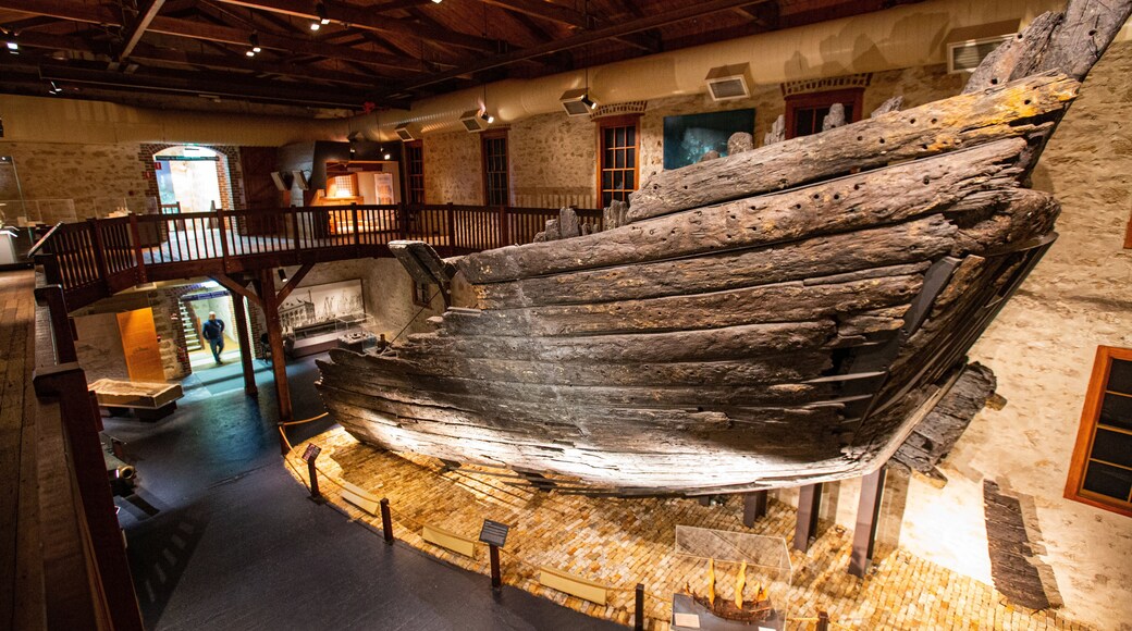 The Shipwreck Galleries