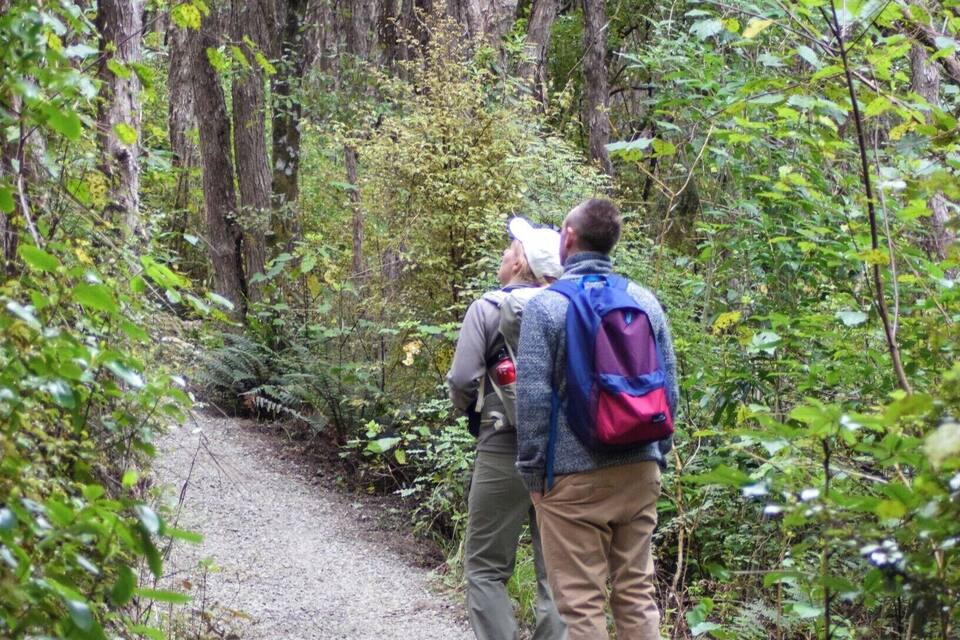 Two hikers on a gravel path surrounded by dense forest.