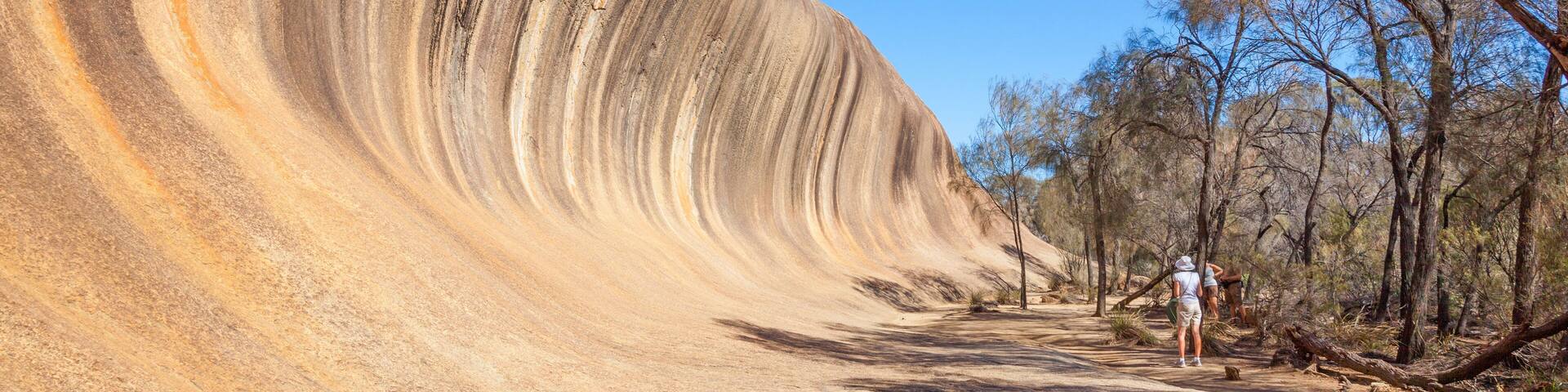 A large wave-like rock formation with a clear blue sky and trees in the background.