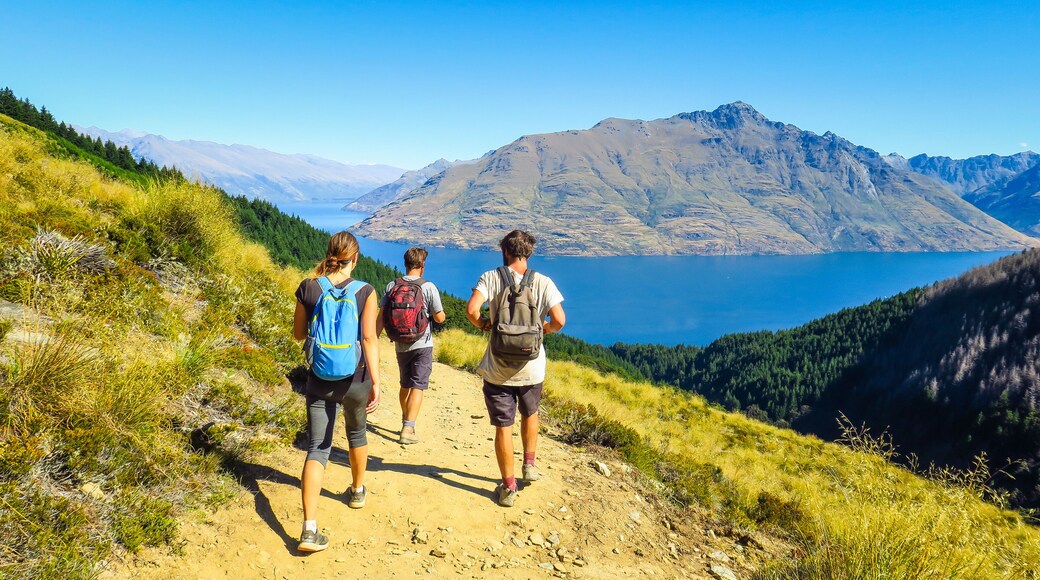 Ben Lomond Track