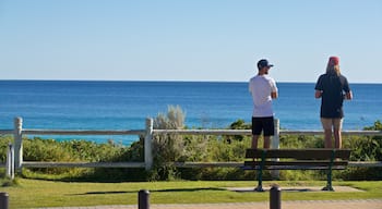 Sorrento Beach featuring a garden and general coastal views as well as a couple