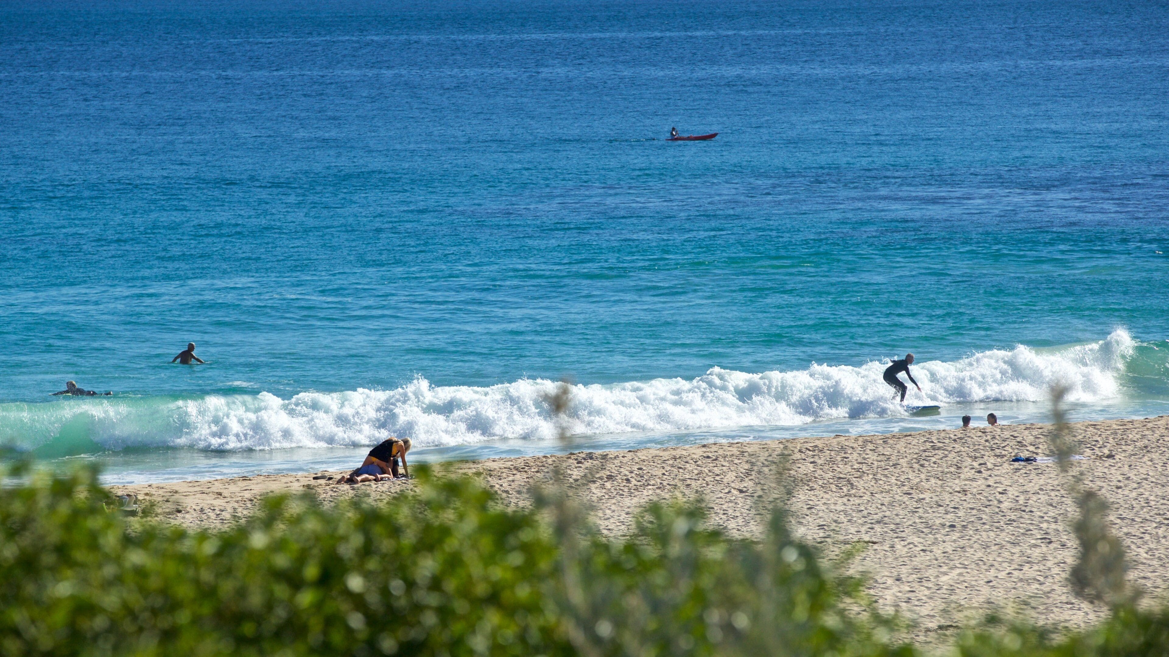 Sorrento Beach which includes a beach, surfing and general coastal views