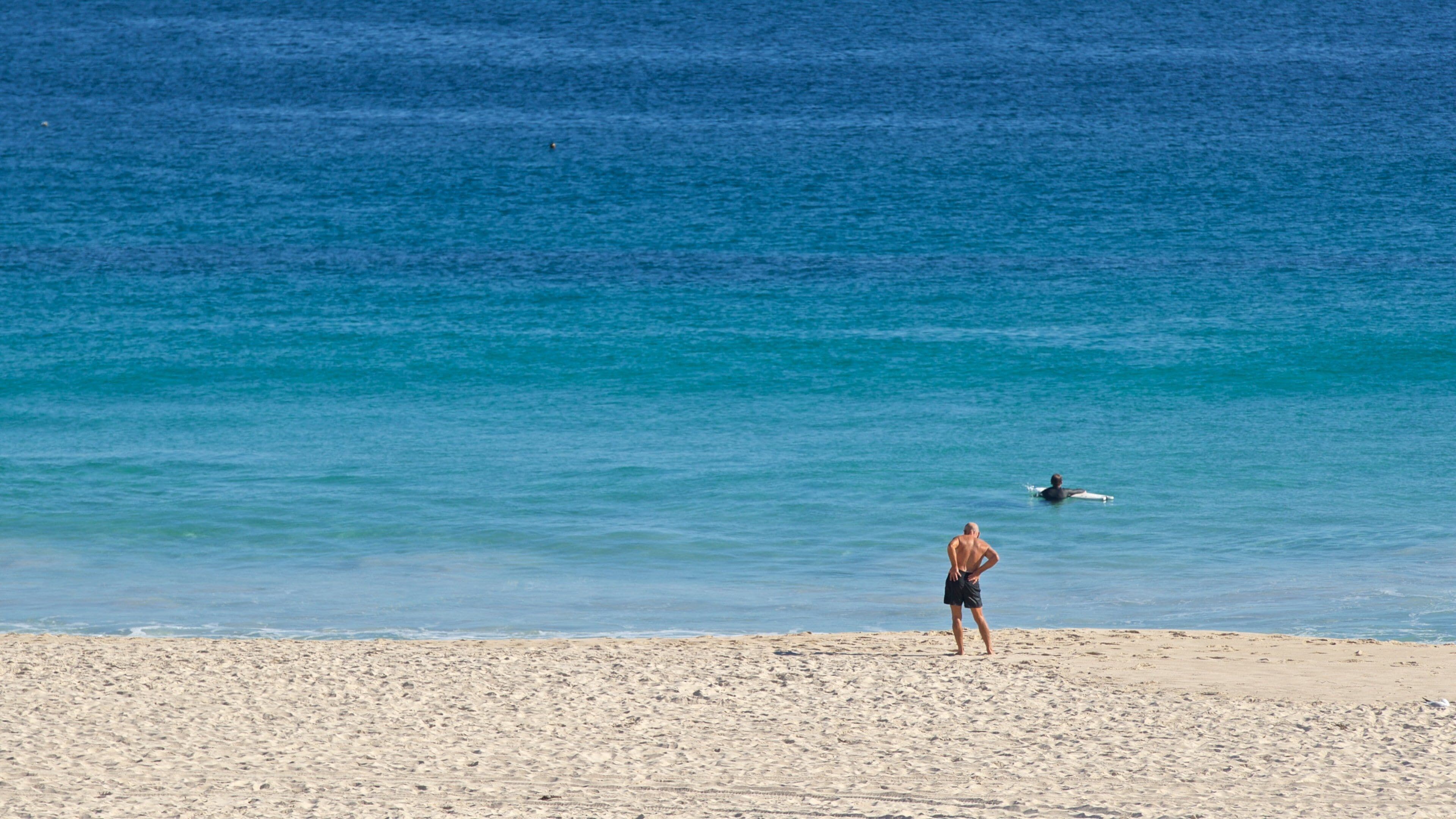 Sorrento Beach which includes general coastal views and a sandy beach as well as an individual male