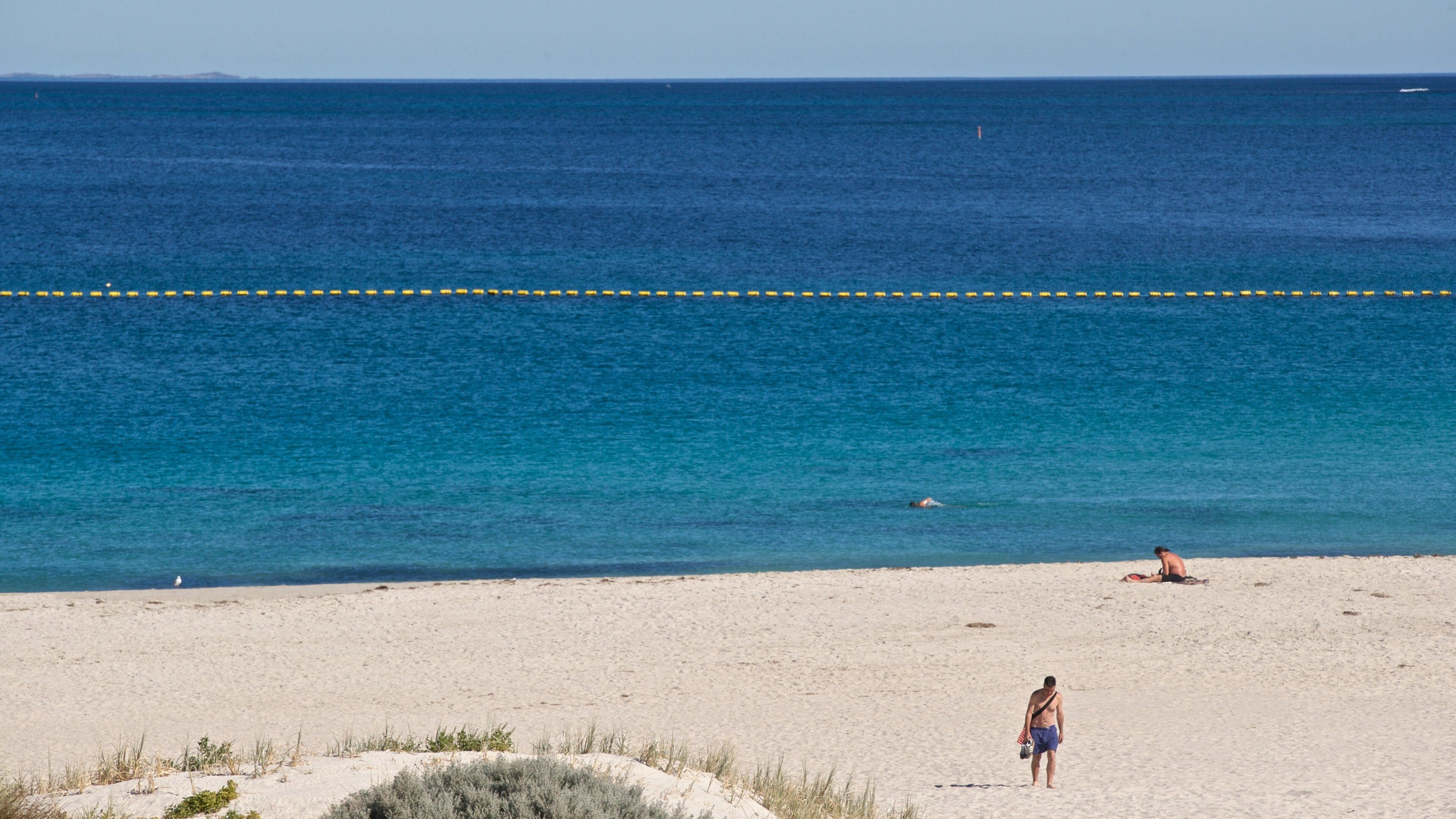 Sorrento Beach showing a beach and general coastal views
