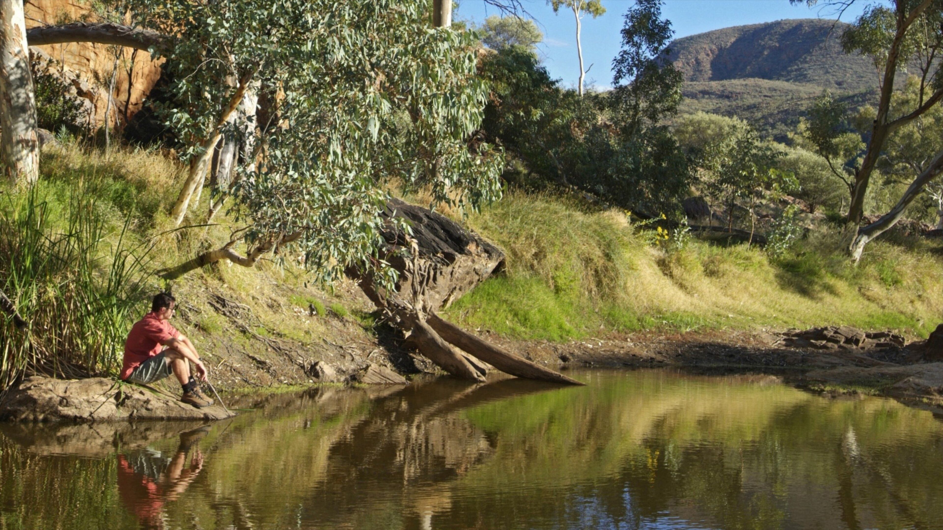 Alice Springs ofreciendo un lago o abrevadero y también un hombre