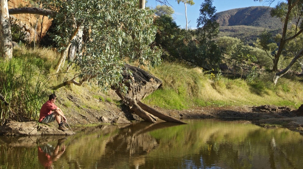 Alice Springs showing a lake or waterhole as well as an individual male