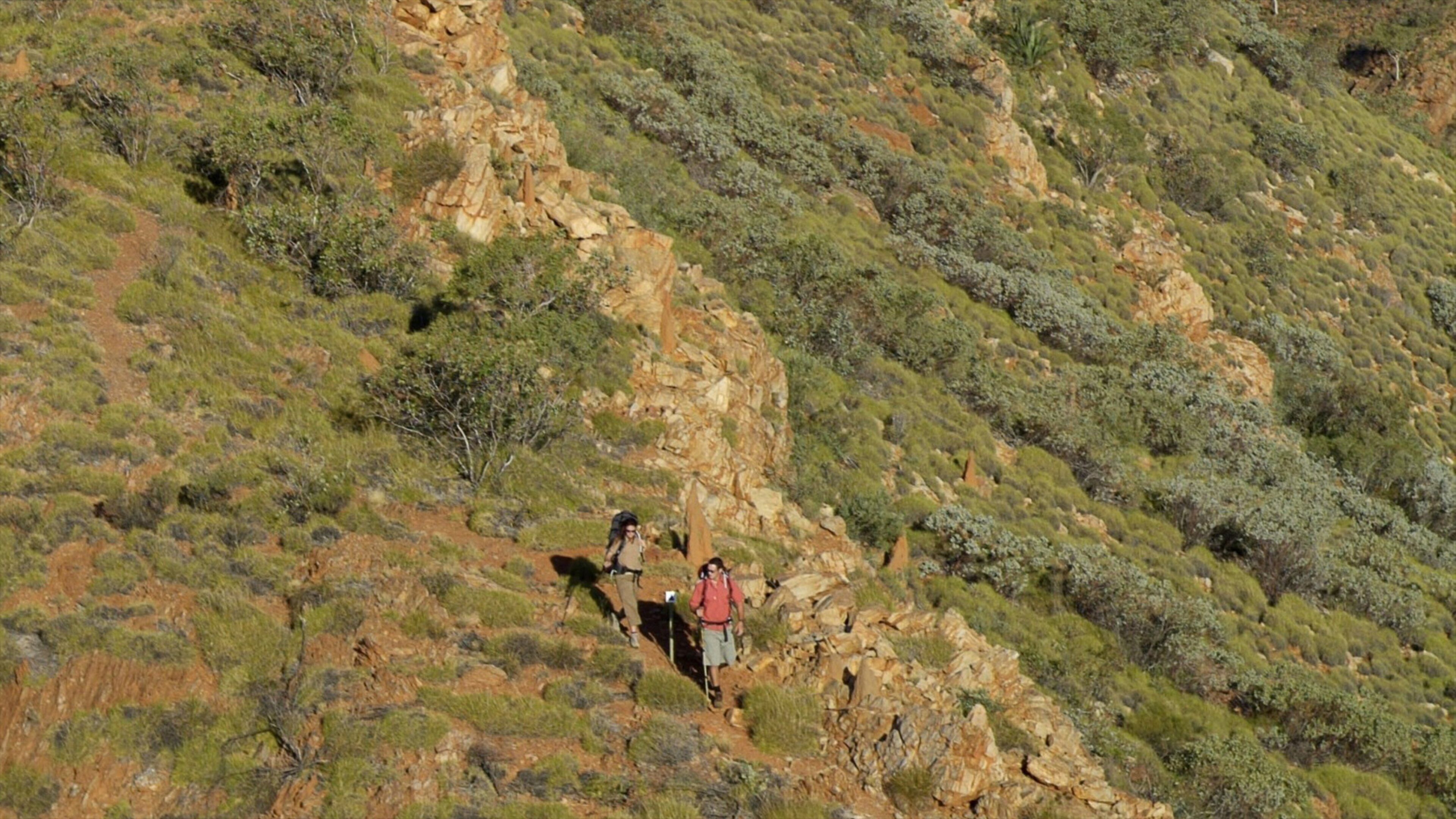 Alice Springs que incluye senderismo o caminata y escenas tranquilas y también una pareja