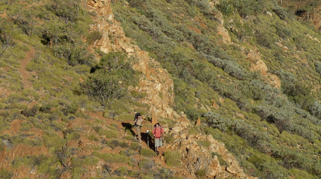 Alice Springs showing hiking or walking and tranquil scenes as well as a couple
