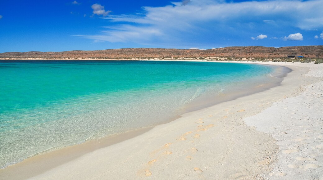 Turquoise bay in Cape range National Park near Exmouth, Western Australia, Shutterstock ID 403747096, Purchase Order: SP-1842, Order Number: SP-1842 ANZ-18138_WOTIF IMAGES, Client/Licensee: Wotif, Oth