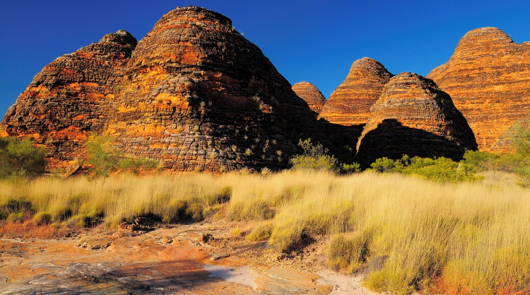 The Domes, Bungle Bungle Range, Purnululu National Park, Kimberley, Western Australia, Australia