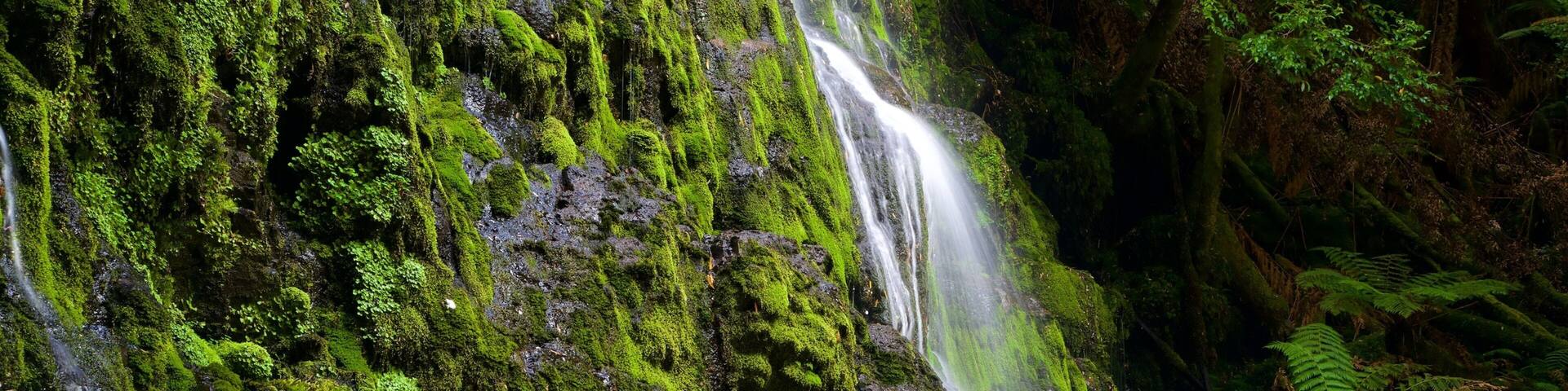 Nelson Falls featuring a waterfall