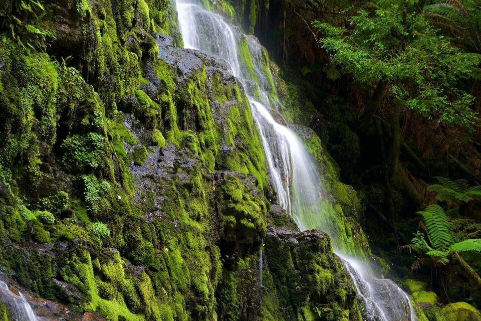 A lush green waterfall cascading down moss-covered rocks surrounded by dense ferns.
