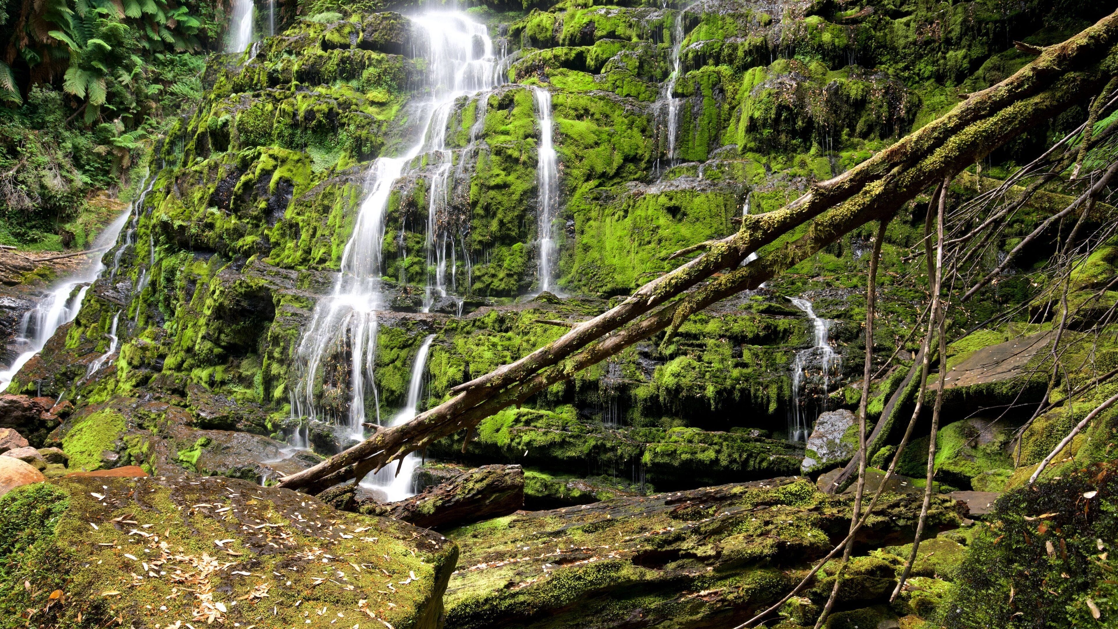 A multi-tiered waterfall surrounded by lush green moss and ferns.