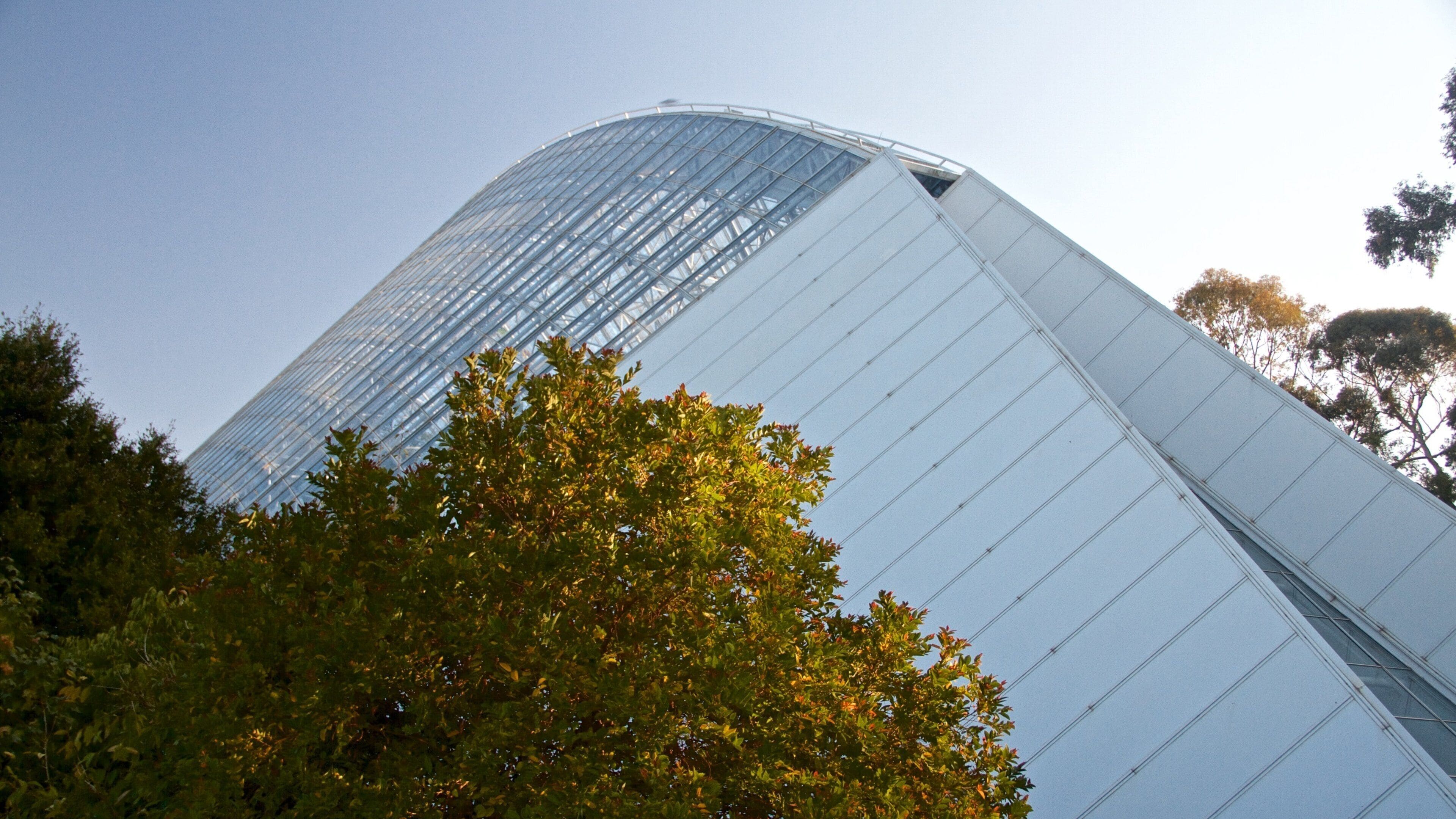 Bicentennial Conservatory showing a sunset and modern architecture