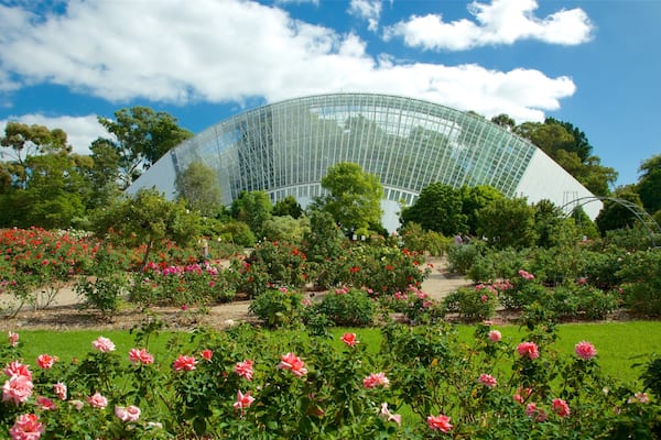 Adelaide featuring a garden and wild flowers