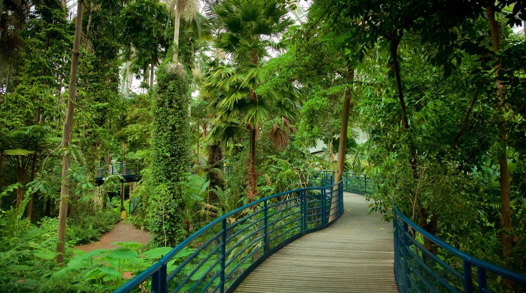 Bicentennial Conservatory featuring interior views and a garden