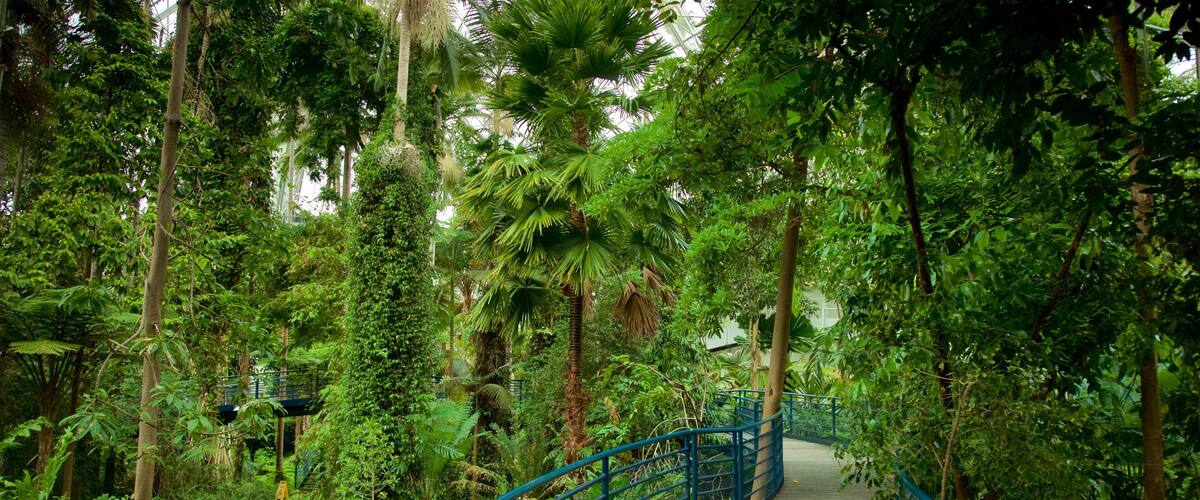 Bicentennial Conservatory featuring interior views and a garden