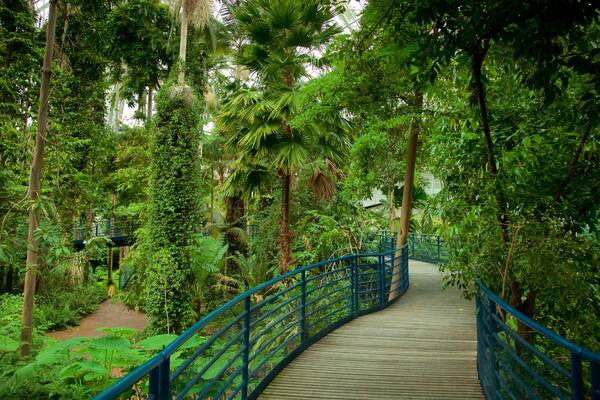 Bicentennial Conservatory featuring interior views and a garden