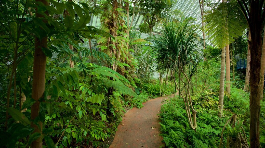 Bicentennial Conservatory featuring a park and interior views