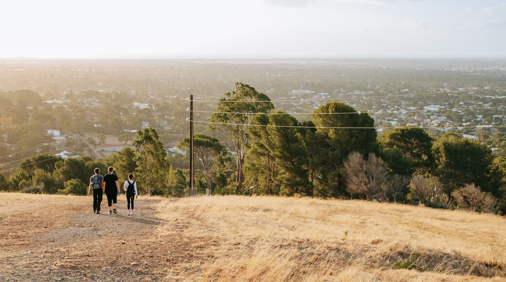 Brownhill Creek Recreation Park showing a sunset, tranquil scenes and landscape views