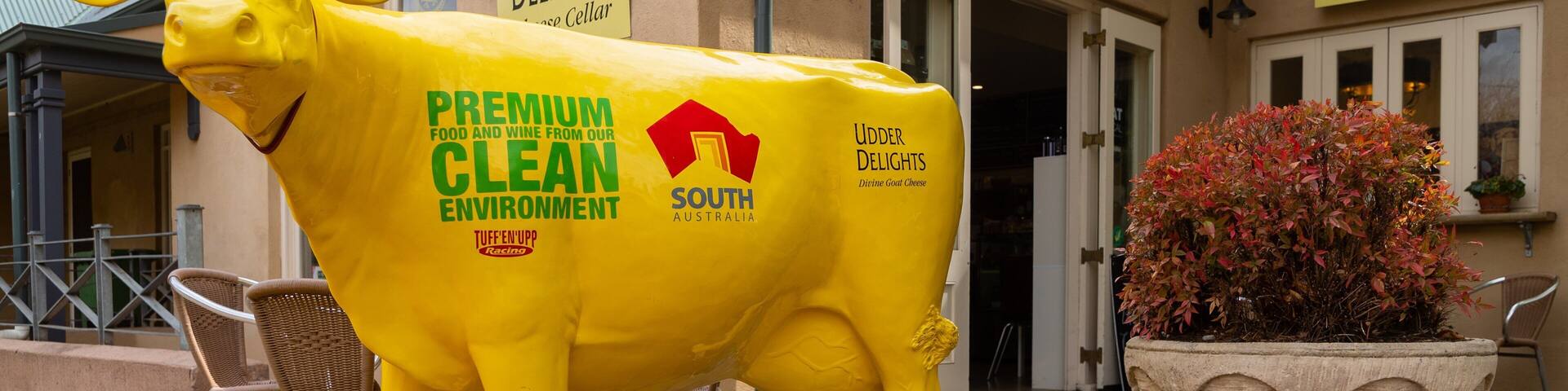 Una estatua de vaca amarilla con el texto "PREMIUM CLEAN ENVIRONMENT" y "SOUTH AUSTRALIA", frente a un edificio con los rótulos "UDDER DELIGHTS" y "queso".