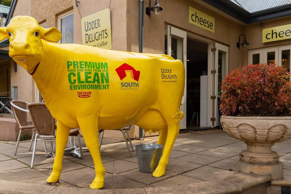 A yellow cow statue with "PREMIUM CLEAN ENVIRONMENT" and "SOUTH AUSTRALIA" text, in front of a building with "UDDER DELIGHTS" and "cheese" signs.