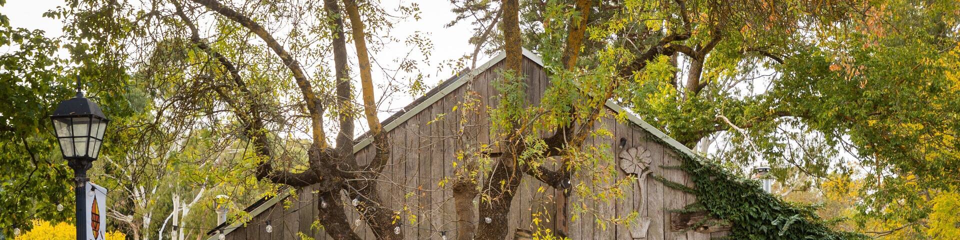 Udder Delights Cheese Cellar featuring street scenes