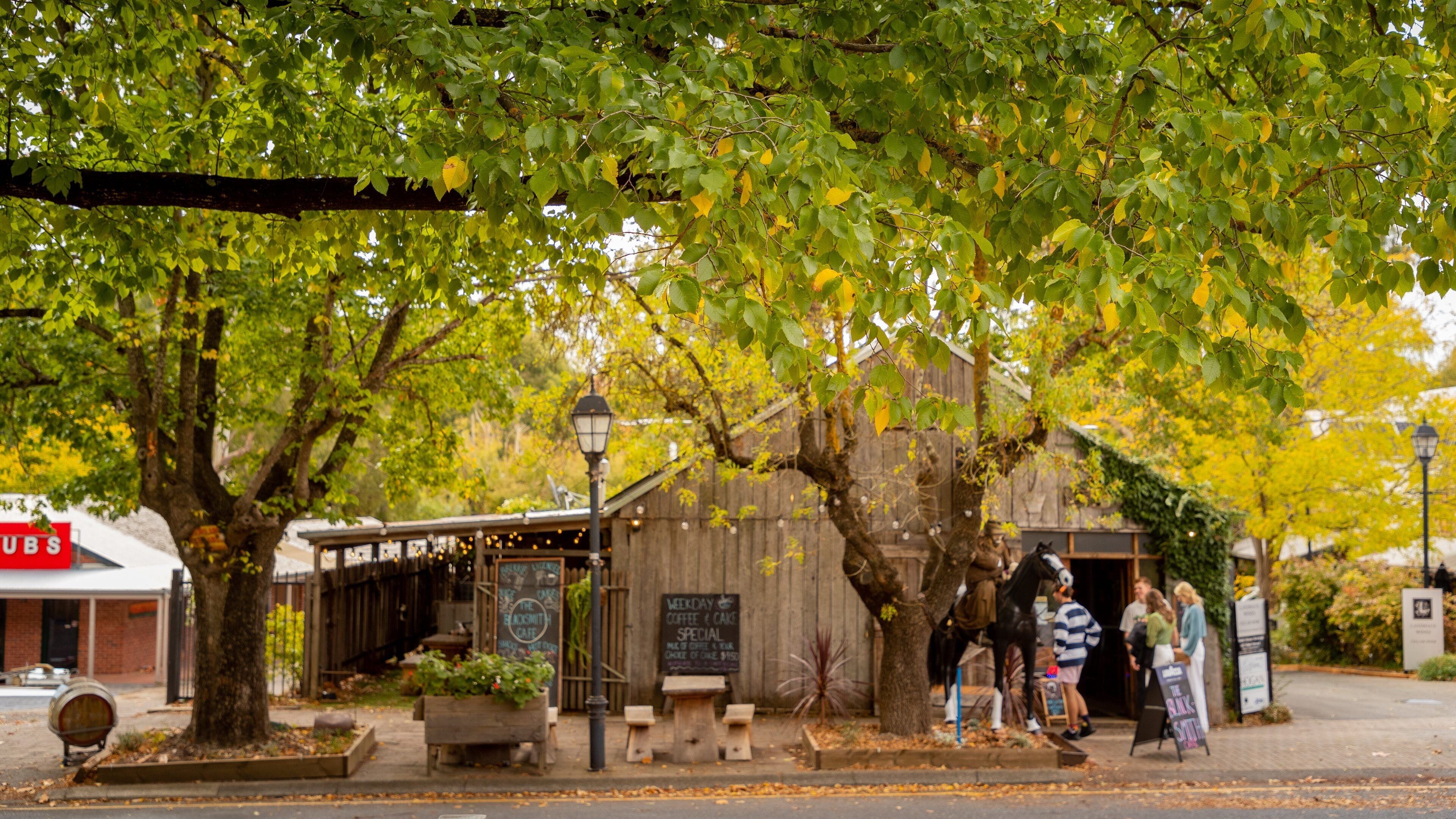 Udder Delights Cheese Cellar which includes street scenes